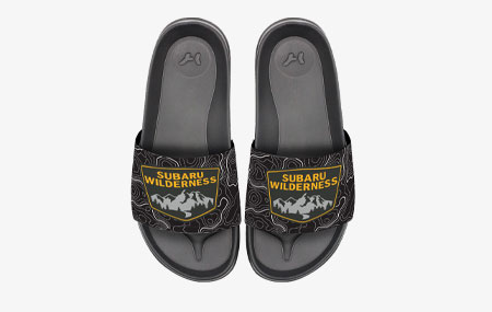 Wilderness Slides