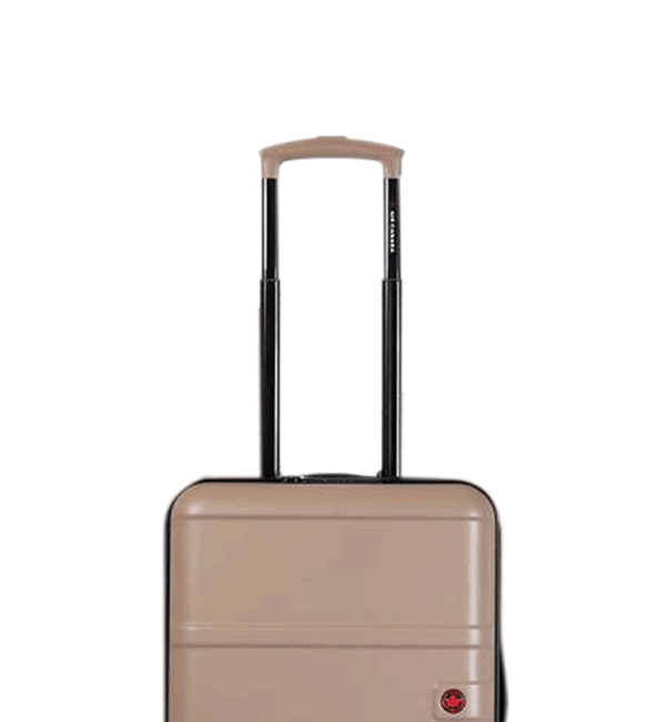 New Arrivals August 2025