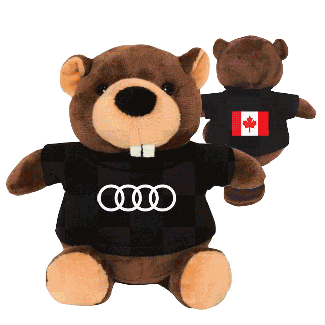 audi canada day