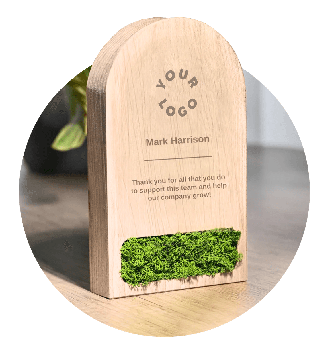 wooden award with alcove containing moss