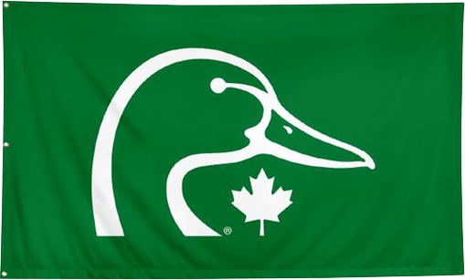 ducks flag