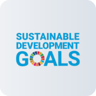Sustainable Development Goals Icon
