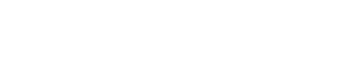 Domtar logo in white